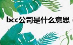 bcc公司是什么意思（bc行业是什么意思）