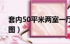 套内50平米两室一厅户型图（两室一厅户型图）