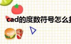 cad的度数符号怎么打（度数符号怎么打）