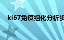 ki67免疫组化分析步骤（ki67免疫组化）