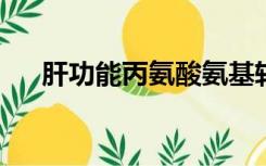 肝功能丙氨酸氨基转移酶高是怎么回事