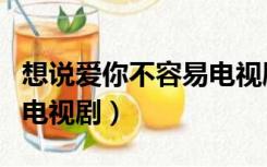 想说爱你不容易电视剧剧情（想说爱你不容易电视剧）