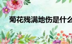 菊花残满地伤是什么歌（菊花残满地伤）