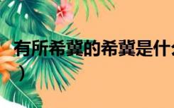 有所希冀的希冀是什么意思（希翼是什么意思）