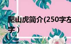 爬山虎简介(250字左右)（爬山虎的资料200字）