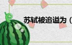 苏轼被追谥为（苏轼谥号什么）