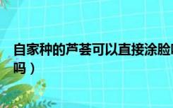 自家种的芦荟可以直接涂脸吗（家中种的芦荟可以直接涂脸吗）