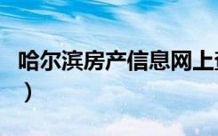 哈尔滨房产信息网上查询（哈尔滨房产信息网）