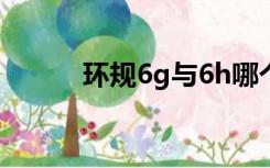 环规6g与6h哪个精度高（环规）