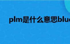 plm是什么意思blue（plm是什么意思）