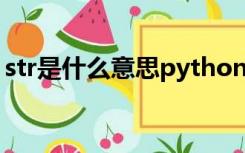 str是什么意思python语言（str是什么意思）