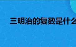 三明治的复数是什么（三明治英文复数）