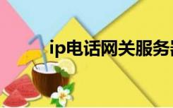 ip电话网关服务器（ip电话网关）