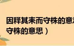 因释其耒而守株的意思释的意思（因释其耒而守株的意思）