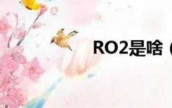 RO2是啥（ro2银线）