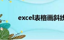 excel表格画斜线后如何输入文字