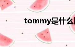 tommy是什么牌子（tommy）