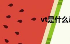 vt是什么意思（vt）