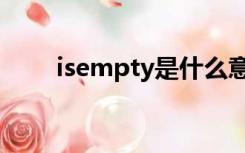 isempty是什么意思啊（isempty）