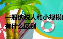 一般纳税人和小规模纳税人有什么区别开票人有什么区别