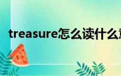 treasure怎么读什么意思（treasure读音）