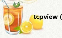 tcpview（tcpview）