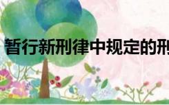 暂行新刑律中规定的刑事责任年龄为（暂行）