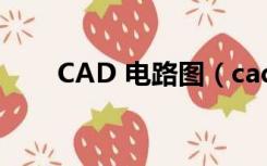 CAD 电路图（cad电路系统图讲解）