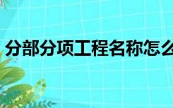 分部分项工程名称怎么写（工程名称怎么写）