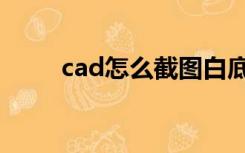 cad怎么截图白底（cad怎么截图）