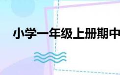 小学一年级上册期中考试语文试卷人教版