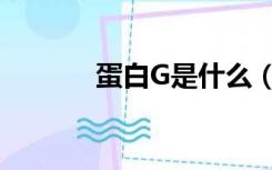 蛋白G是什么（G蛋白是什么）