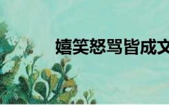 嬉笑怒骂皆成文章（嬉笑怒骂）