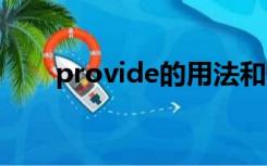 provide的用法和短语（provided）