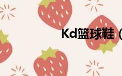 Kd篮球鞋（kd篮球鞋）