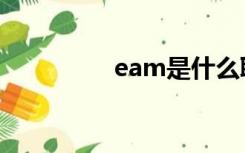 eam是什么职位（eam）