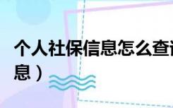 个人社保信息怎么查询（怎样查询个人社保信息）