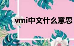 vmi中文什么意思（vmi是什么意思）