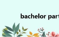 bachelor party（bachelor）