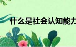 什么是社会认知能力（什么是社会认知）