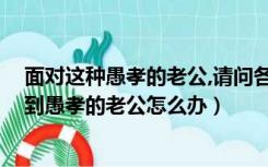 面对这种愚孝的老公,请问各位知友怎么看（什么是愚孝 碰到愚孝的老公怎么办）