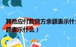 其他应付款贷方余额表示什么怎么处理（其他应付款贷方余额表示什么）