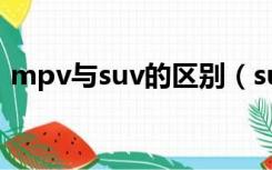 mpv与suv的区别（suv和mpv汽车的区别）