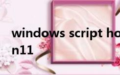 windows script host 无法找到脚本文件win11