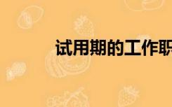 试用期的工作职责表现怎么写？