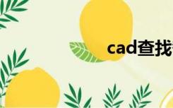 cad查找替换命令