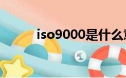 iso9000是什么意思（iso9000）