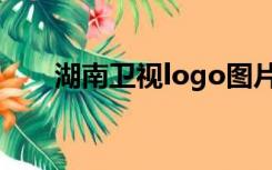 湖南卫视logo图片（湖南卫视logo）