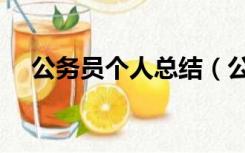 公务员个人总结（公务员工作总结范文）