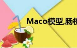 Maco模型,肠梗阻（macom）